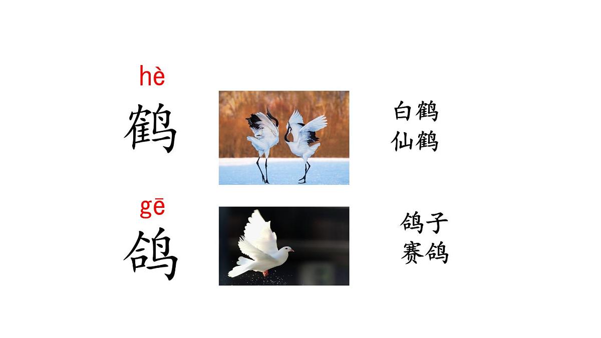 统编版语文二年级上册语文园地八  课件第4页