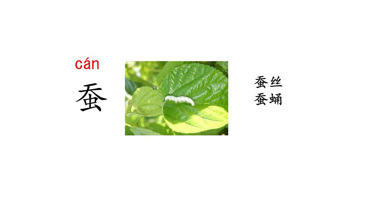 统编版语文二年级上册语文园地八  课件第7页