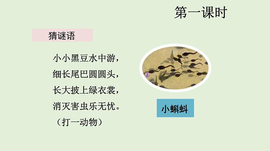 1 小蝌蚪找妈妈（课件）2025-2026学年统编版二年级语文上册第2页