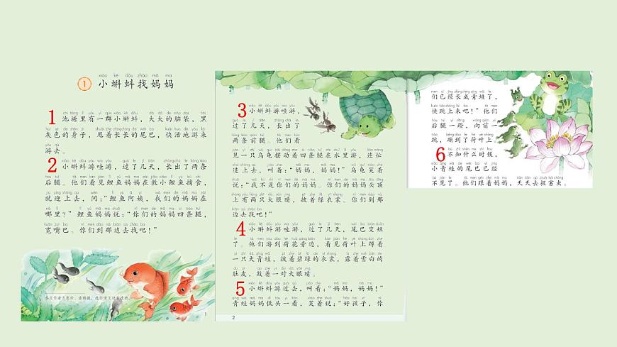 1 小蝌蚪找妈妈（课件）2025-2026学年统编版二年级语文上册第5页