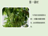 10  葡萄溝（課件）2025-2026學(xué)年統(tǒng)編版二年級語文上冊