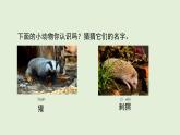 21 稱贊（課件）2025-2026學(xué)年統(tǒng)編版二年級(jí)語(yǔ)文上冊(cè)