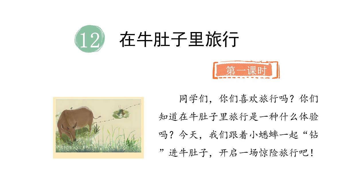 统编版语文三年级上册12.在牛肚子里旅行  课件第2页