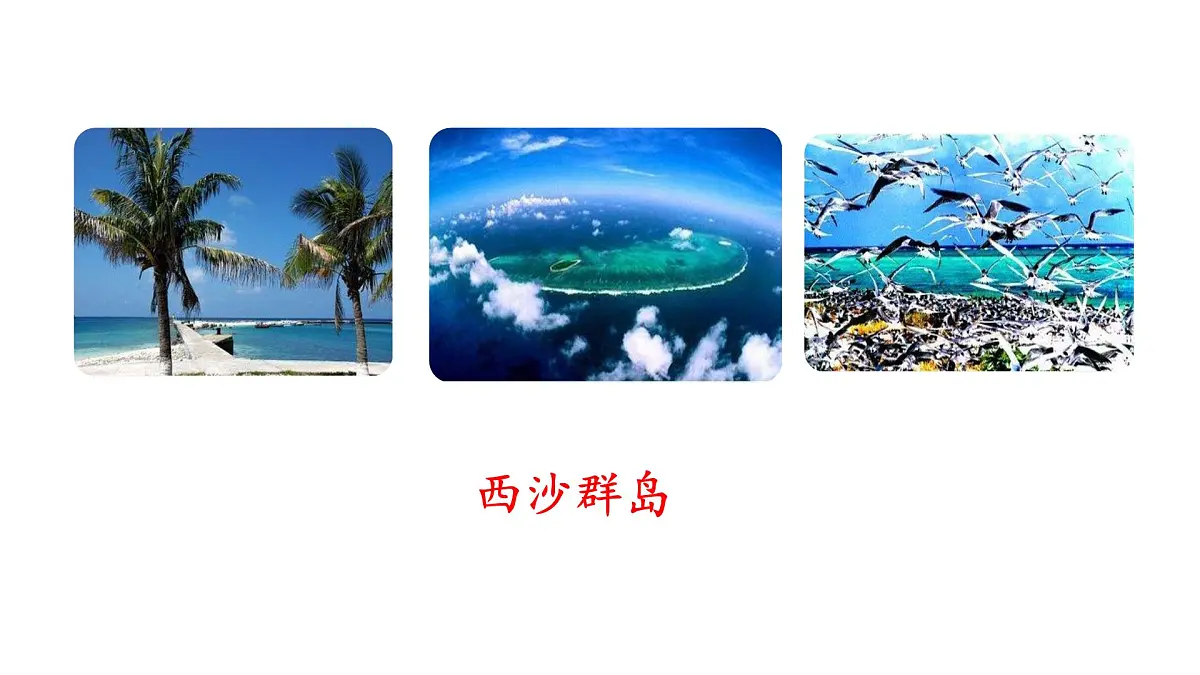 统编版语文三年级上册16.富饶的西沙群岛 课件第6页