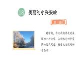 統(tǒng)編版語文三年級上冊18.美麗的小興安嶺  課件