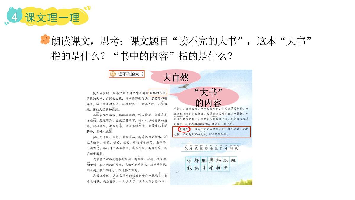 统编版语文三年级上册22.读不完的大书  课件第8页