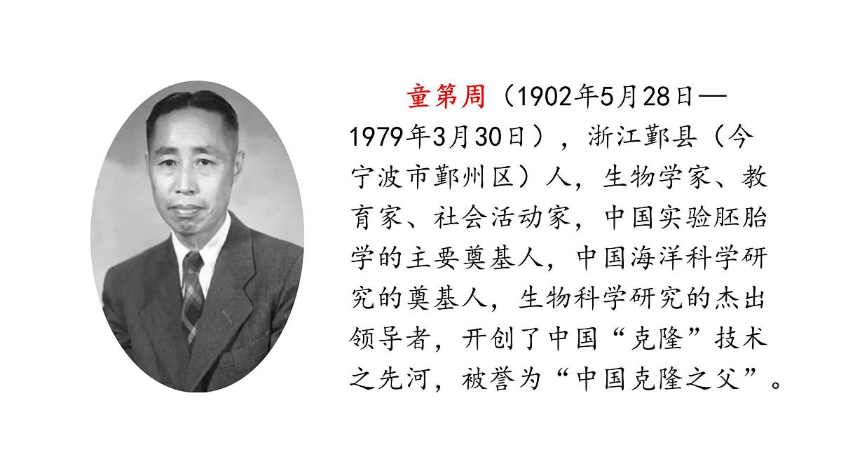 统编版语文三年级上册24.一定要争气 课件第6页