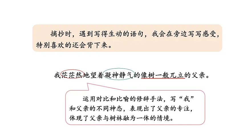 统编版语文三年级上册文园地七 课件第7页