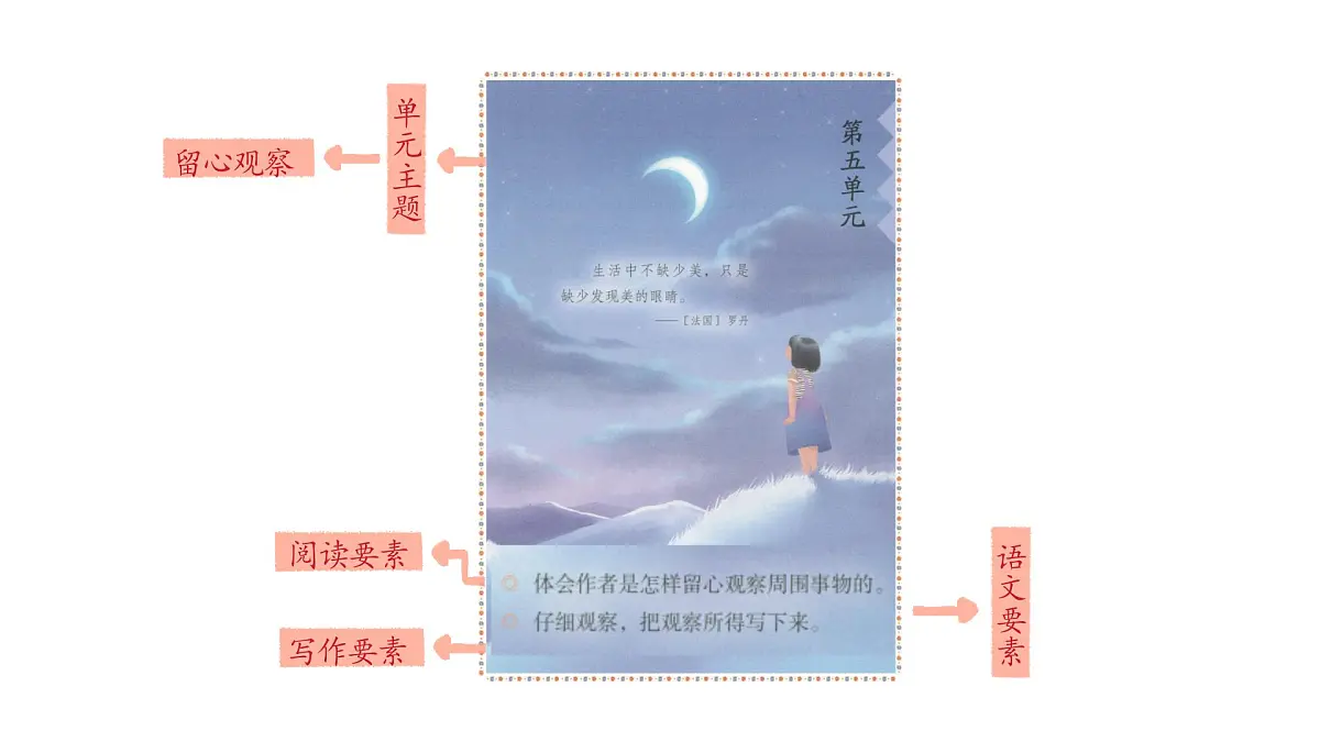 统编版语文三年级上册14.搭船的鸟 课件第1页