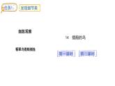 統(tǒng)編版語文三年級上冊14.搭船的鳥  課件