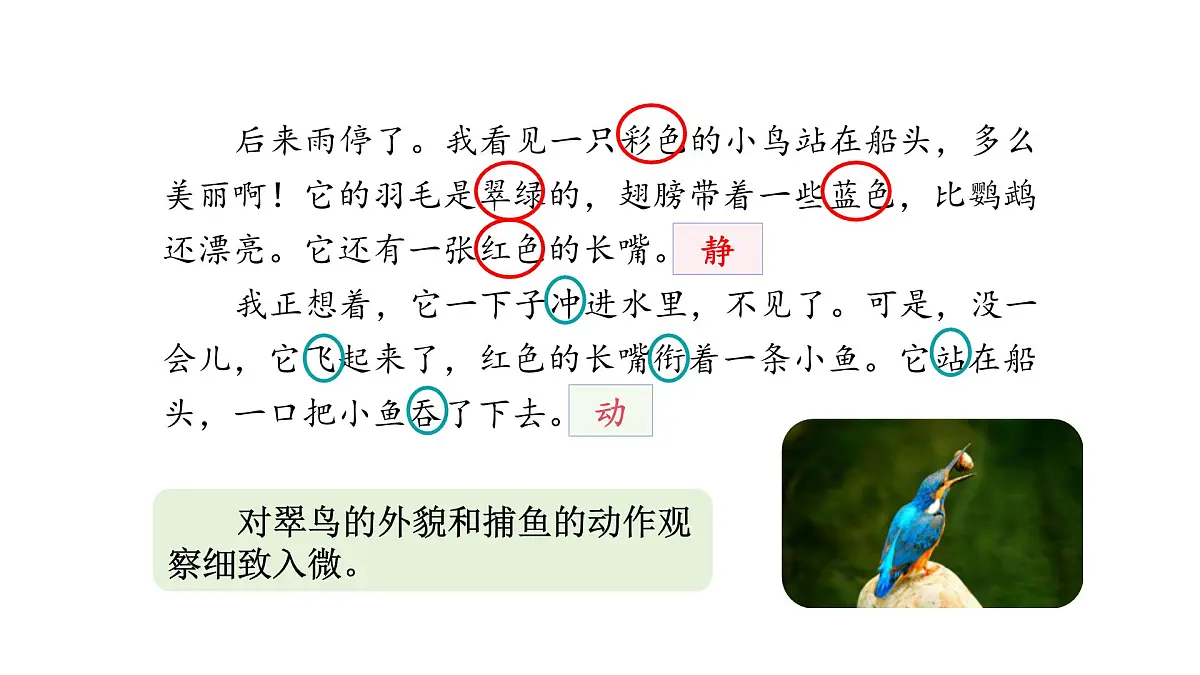 统编版语文三年级上册第五单元梳理与交流 初试身手 课件第4页