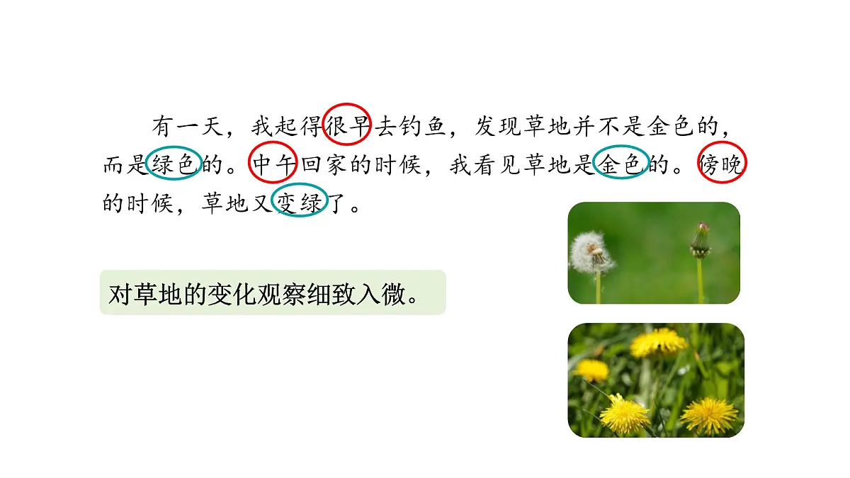 统编版语文三年级上册第五单元梳理与交流 初试身手 课件第5页