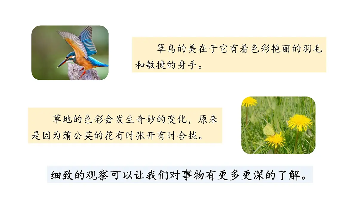 统编版语文三年级上册第五单元梳理与交流 初试身手 课件第6页