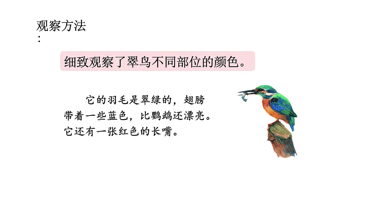 统编版语文三年级上册第五单元梳理与交流 初试身手 课件第8页