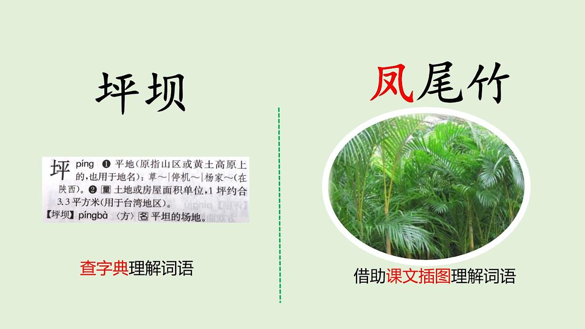 1 大青树下的小学（课件）2025-2026学年统编版三年级语文上册第6页