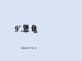 9 犟龜（課件）2025-2026學(xué)年統(tǒng)編版三年級(jí)語文上冊