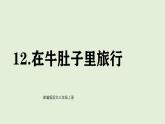 12 在牛肚子里旅行（課件）2025-2026學(xué)年統(tǒng)編版三年級(jí)語(yǔ)文上冊(cè)
