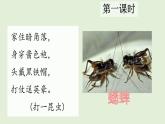 12 在牛肚子里旅行（課件）2025-2026學(xué)年統(tǒng)編版三年級(jí)語(yǔ)文上冊(cè)