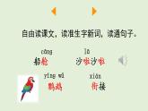 14 搭船的鳥（課件）2025-2026學(xué)年統(tǒng)編版三年級語文上冊