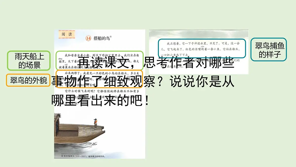 14 搭船的鸟（课件）2025-2026学年统编版三年级语文上册第3页