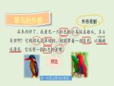 14 搭船的鳥（課件）2025-2026學(xué)年統(tǒng)編版三年級語文上冊