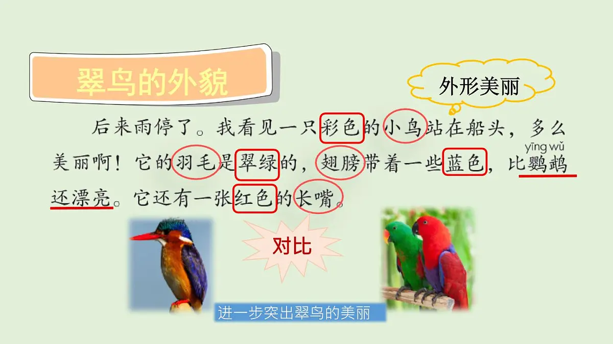 14 搭船的鸟（课件）2025-2026学年统编版三年级语文上册第5页