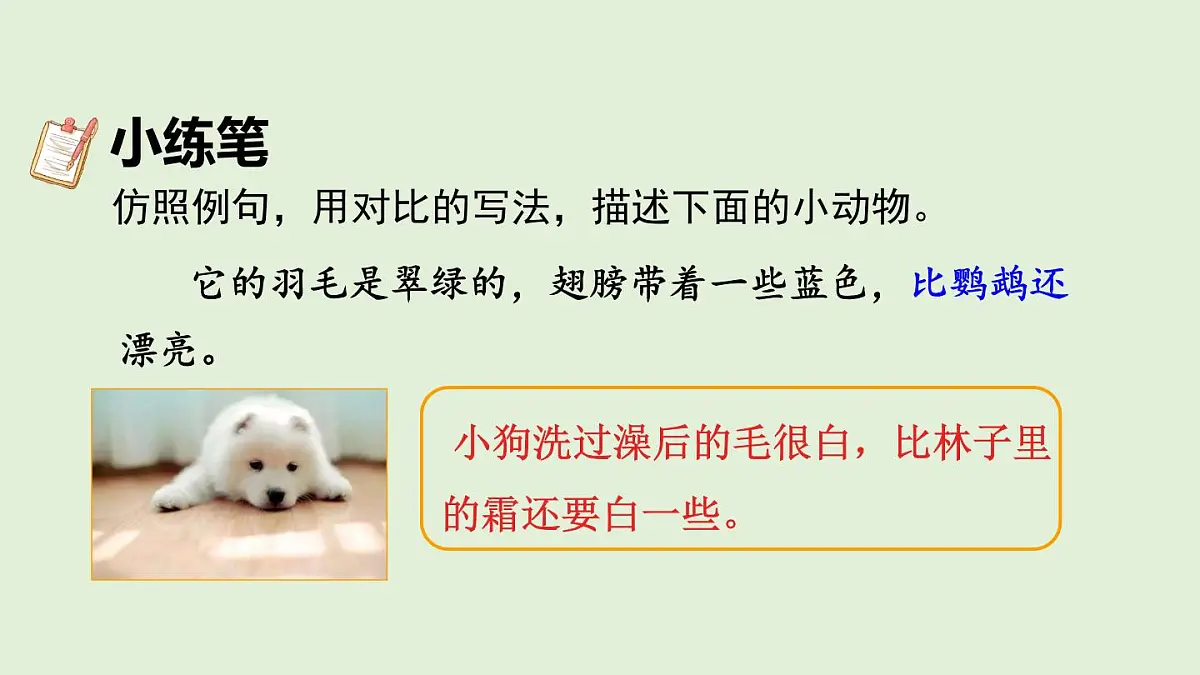 14 搭船的鸟（课件）2025-2026学年统编版三年级语文上册第6页