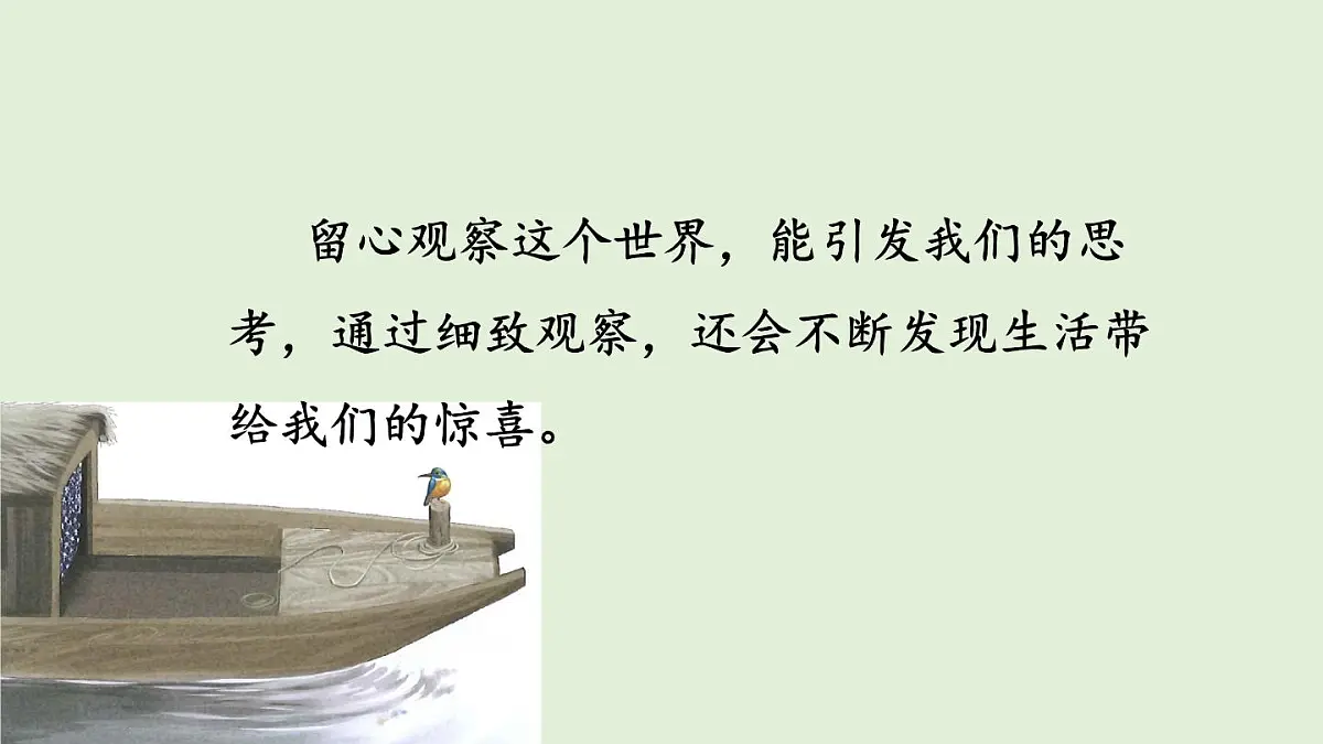 14 搭船的鸟（课件）2025-2026学年统编版三年级语文上册第8页