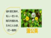 15 金色的草地（課件）2025-2026學(xué)年統(tǒng)編版三年級(jí)語(yǔ)文上冊(cè)