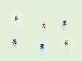 15 金色的草地（課件）2025-2026學(xué)年統(tǒng)編版三年級(jí)語(yǔ)文上冊(cè)