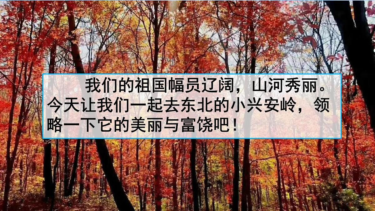 18 美丽的小兴安岭（课件）2025-2026学年统编版三年级语文上册第2页