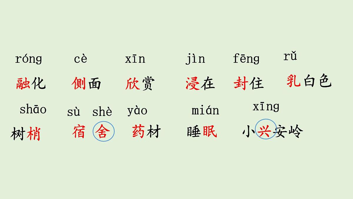 18 美丽的小兴安岭（课件）2025-2026学年统编版三年级语文上册第4页