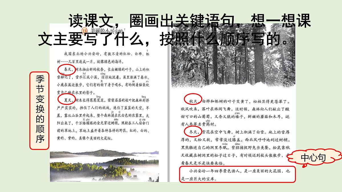 18 美丽的小兴安岭（课件）2025-2026学年统编版三年级语文上册第7页