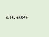 19 香港，璀璨的明珠（課件）2025-2026學(xué)年統(tǒng)編版三年級語文上冊