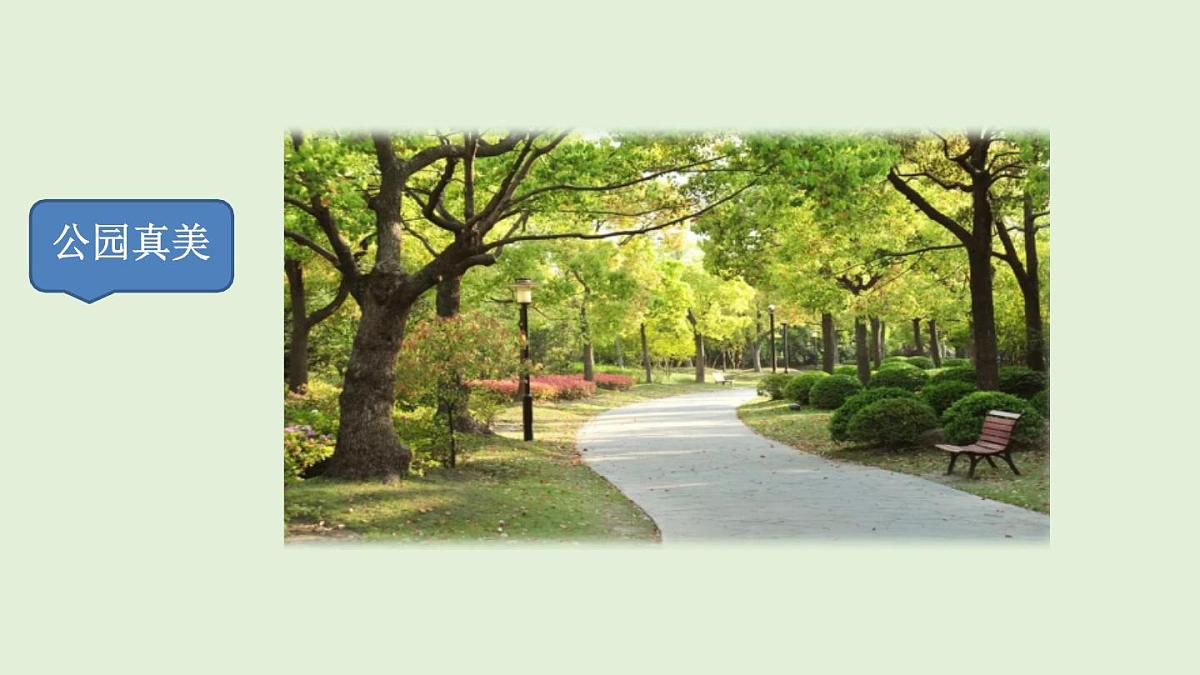 习作：这儿真美（课件）2025-2026学年统编版三年级语文上册第3页