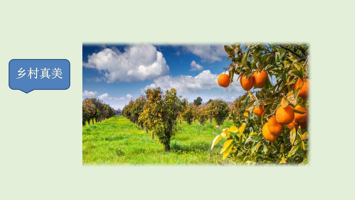 习作：这儿真美（课件）2025-2026学年统编版三年级语文上册第4页