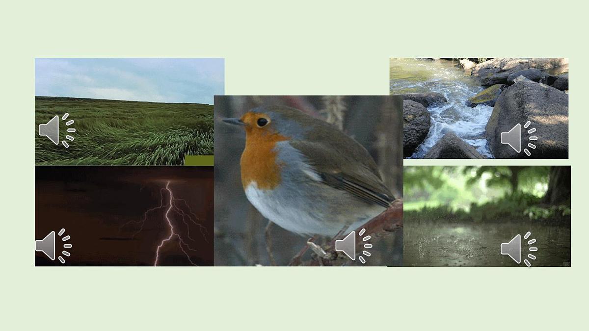 21.大自然的声音（课件）2025-2026学年统编版三年级语文上册第2页