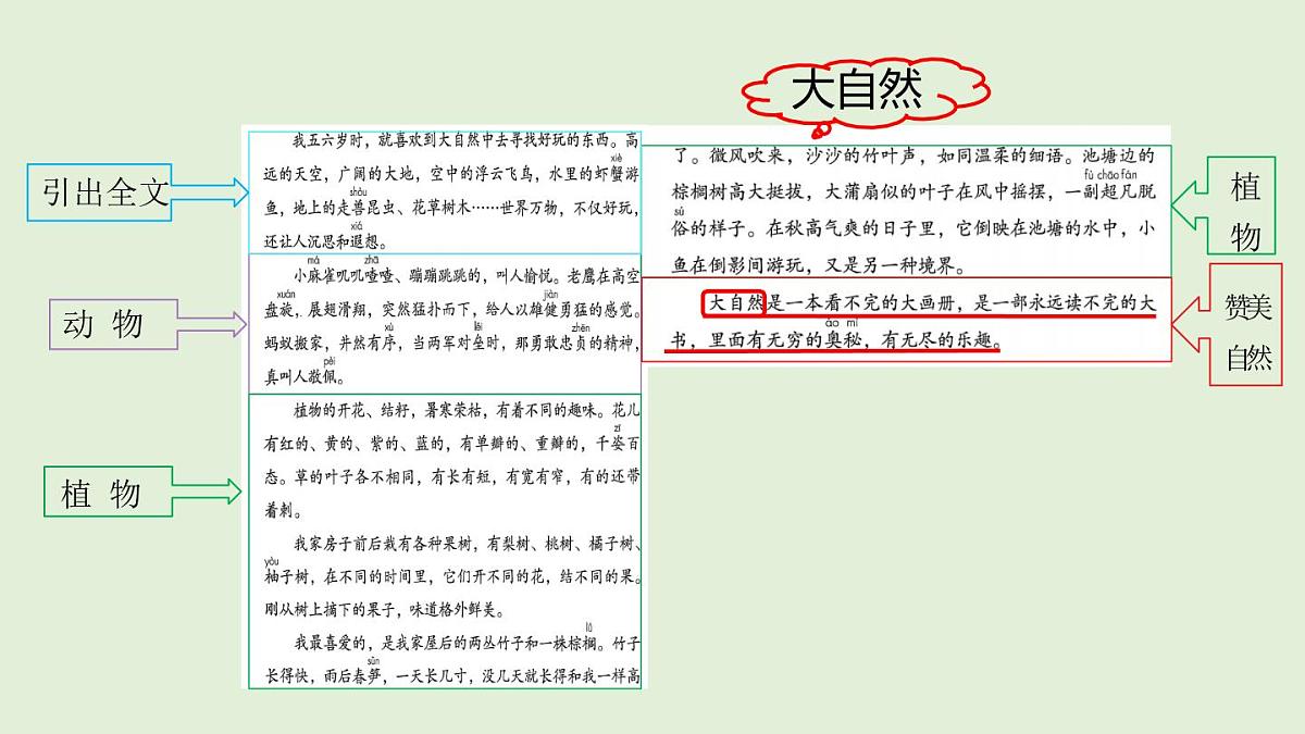 22 读不完的大书（课件）2025-2026学年统编版三年级语文上册第6页