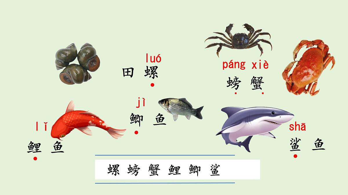 语文园地七（课件）2025-2026学年统编版三年级语文上册第6页