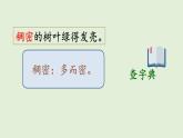 語文園地二（課件）2025-2026學(xué)年統(tǒng)編版三年級(jí)語文上冊(cè)