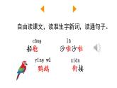 統(tǒng)編版語文三年級上冊14 搭船的鳥 課件