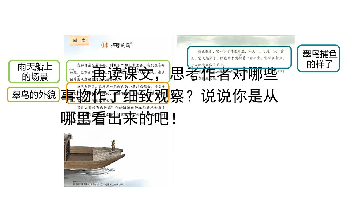 统编版语文三年级上册14 搭船的鸟 课件第3页