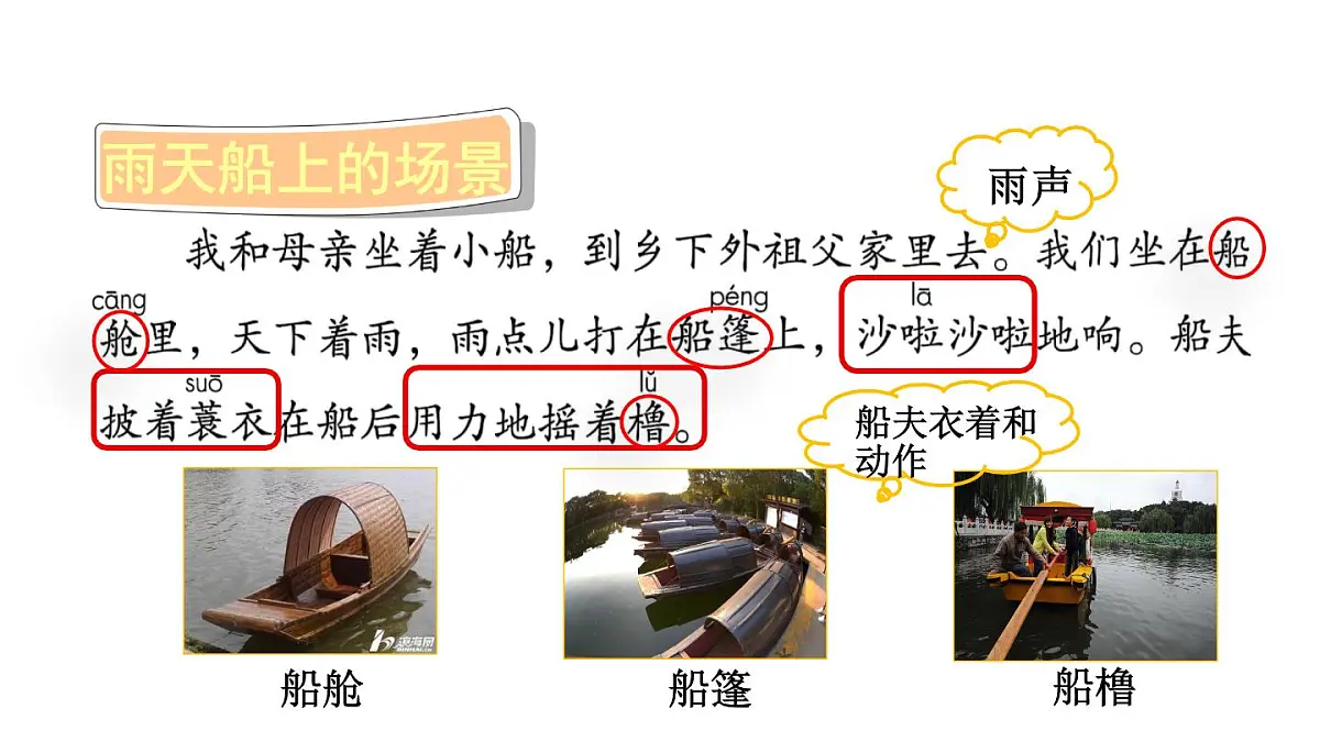 统编版语文三年级上册14 搭船的鸟 课件第4页