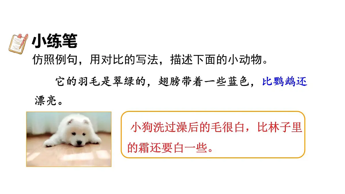 统编版语文三年级上册14 搭船的鸟 课件第6页