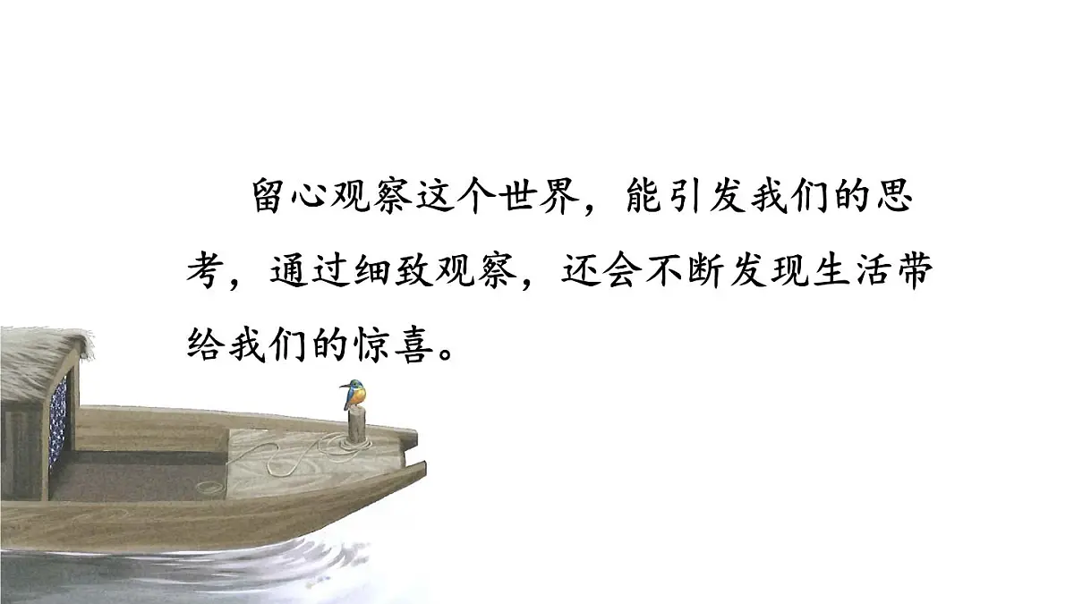 统编版语文三年级上册14 搭船的鸟 课件第8页