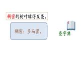 統(tǒng)編版語(yǔ)文三年級(jí)上冊(cè)語(yǔ)文園地二 課件