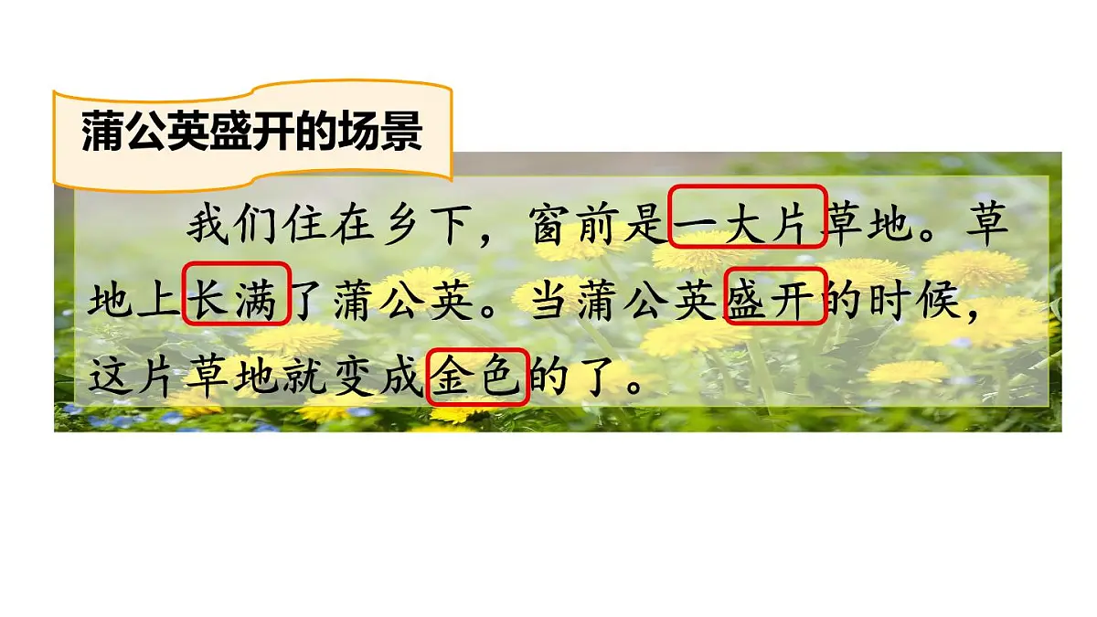 统编版语文三年级上册15 金色的草地 课件第8页