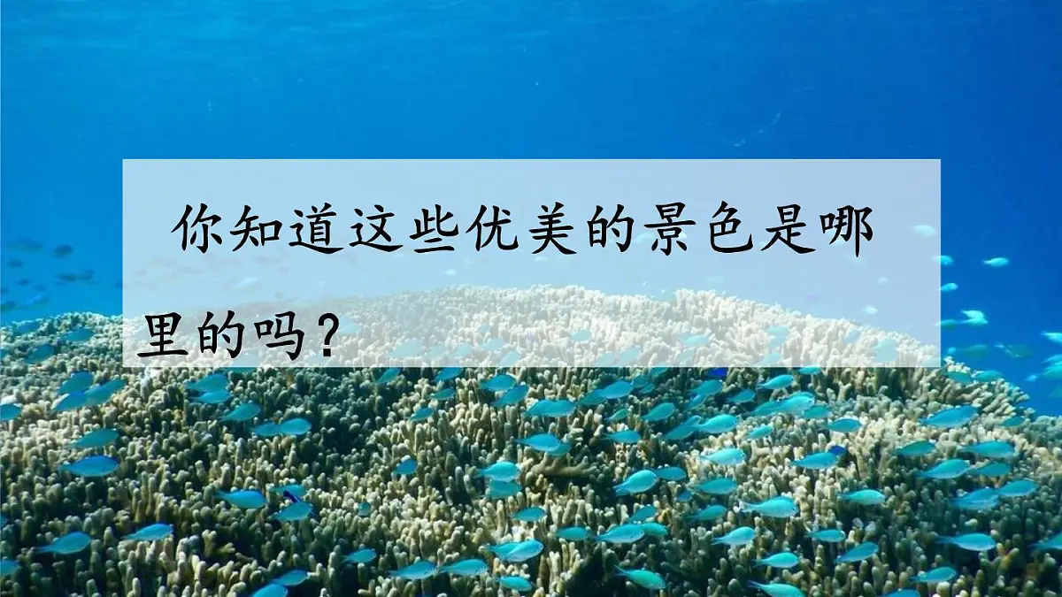 统编版语文三年级上册16 富饶的西沙群岛 课件第2页