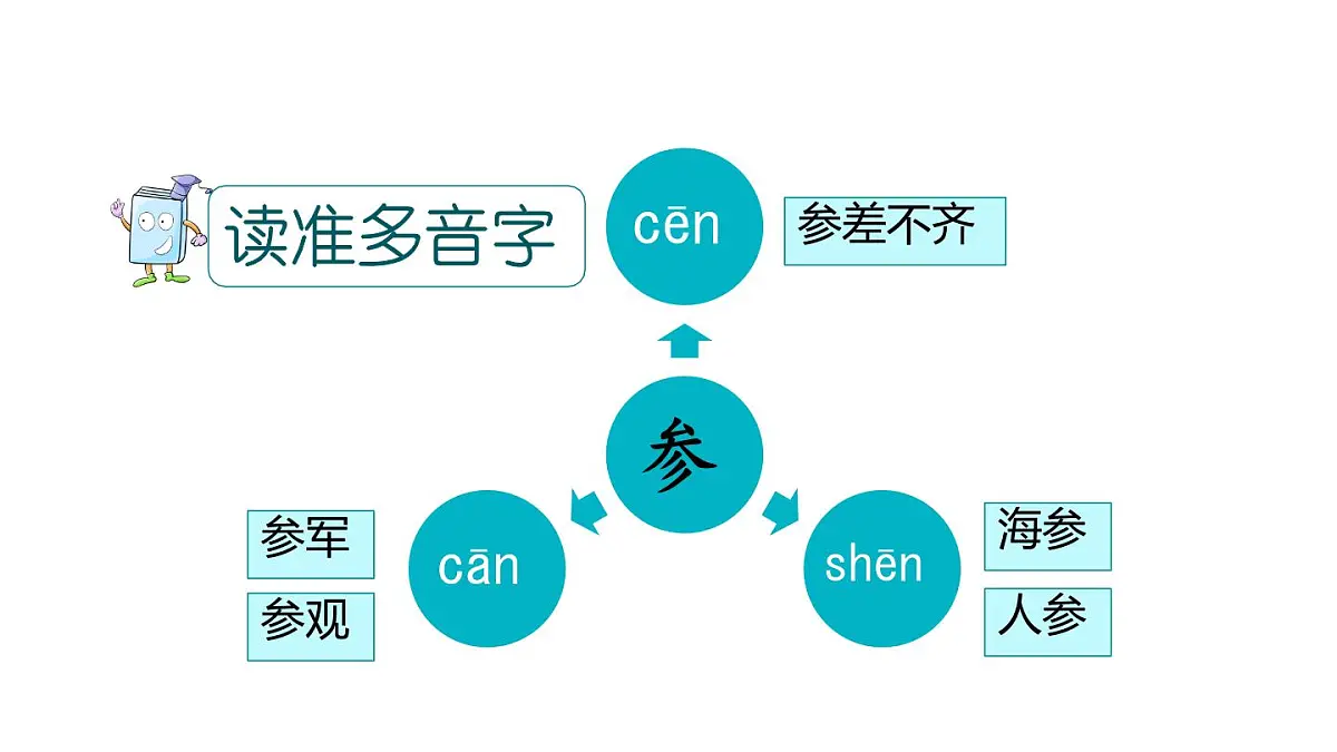 统编版语文三年级上册16 富饶的西沙群岛 课件第5页