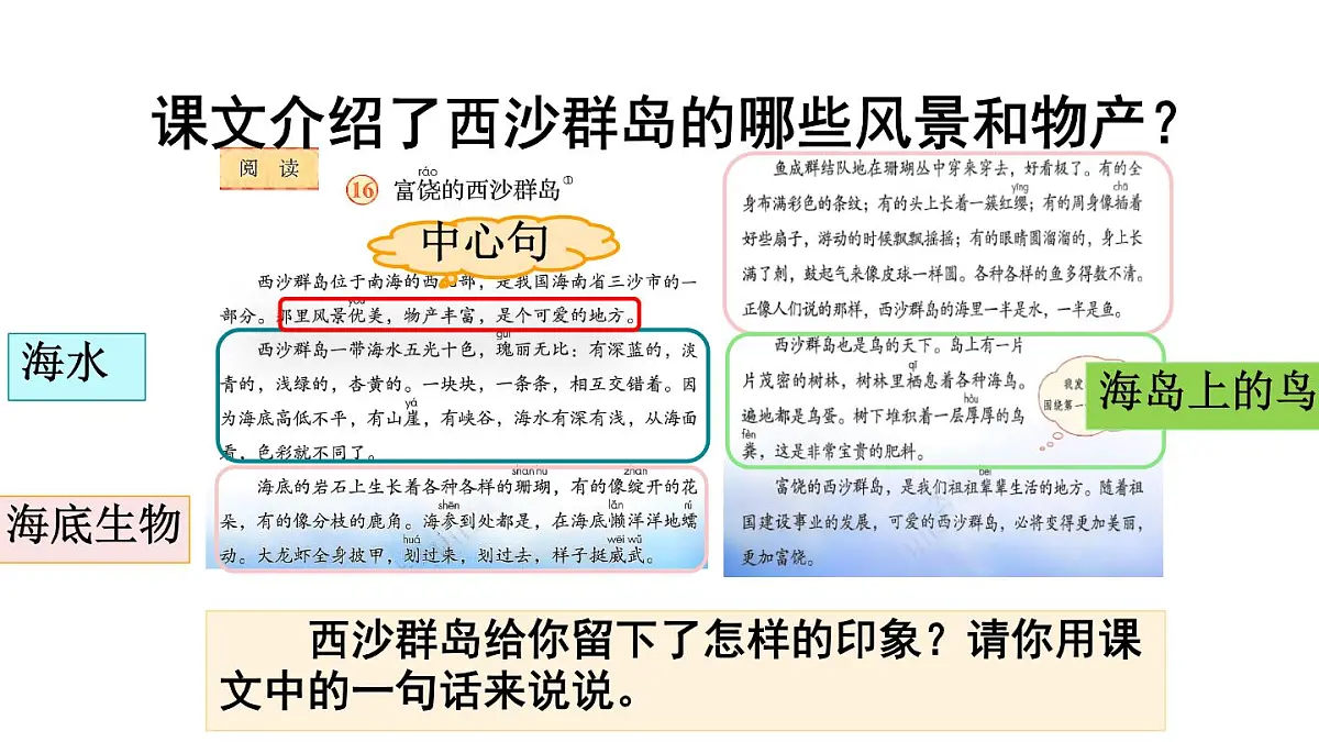 统编版语文三年级上册16 富饶的西沙群岛 课件第7页